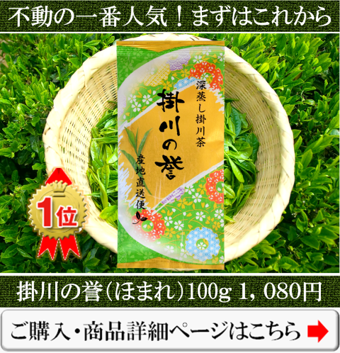 一番人気の深蒸し掛川茶の掛川の誉