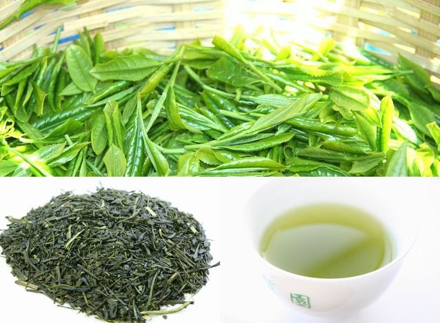 お年賀用掛川の誉