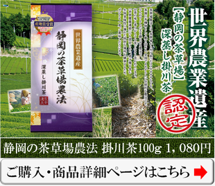 世界農業遺産の茶草場農法深蒸し掛川茶