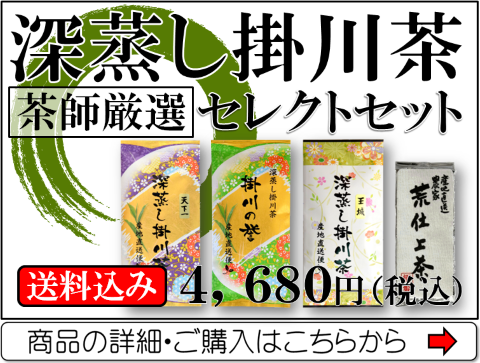 初めての方へ茶師厳選の深蒸し掛川茶セレクトセット
