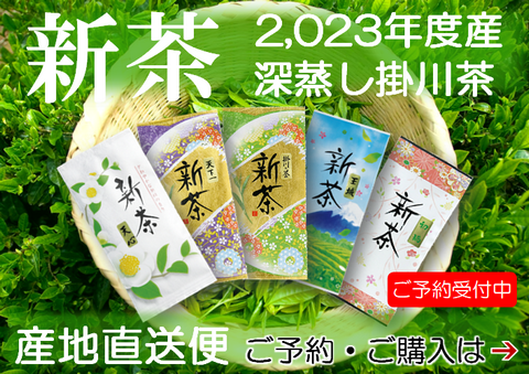 新茶の掛川茶、深蒸し茶の通販はこちら
