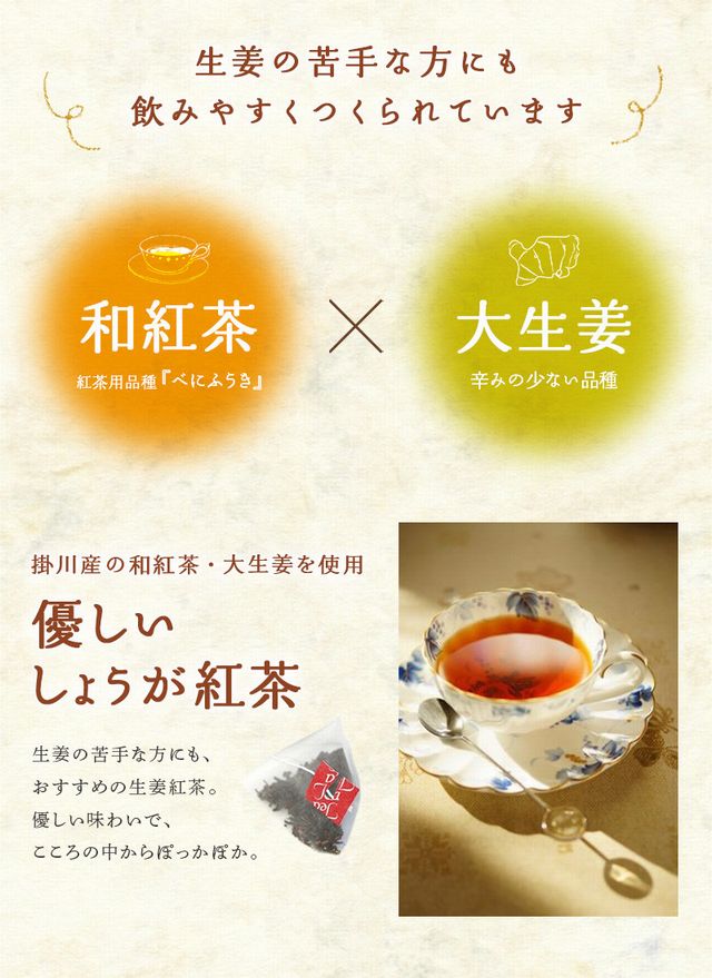 生姜紅茶（ジンジャーティー）【通販・産地直送】優しいしょうが紅茶ティーバッグ2ｇ13入【静岡県産紅茶・生姜100％使用】