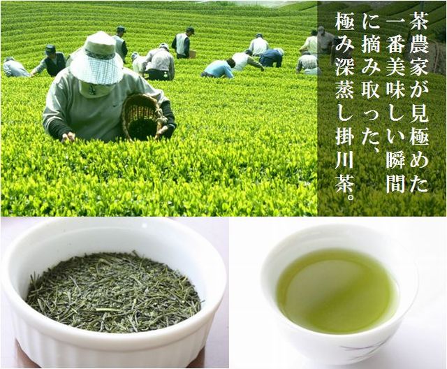 最高の瞬間に摘まれた新茶